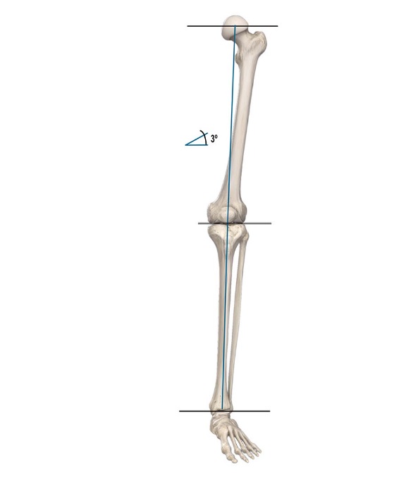 محور مکانیکی طبیعی